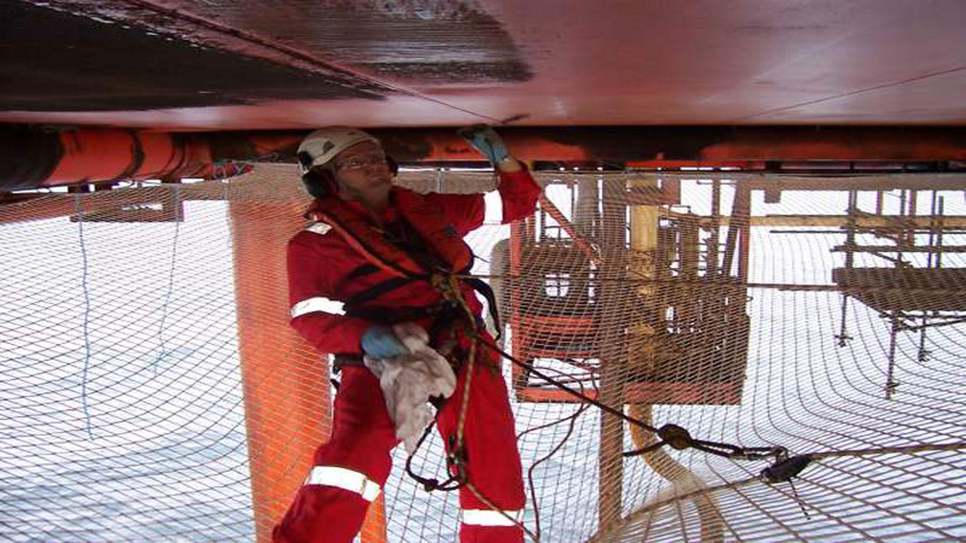 protection netting, Leon De Oro,8888332634